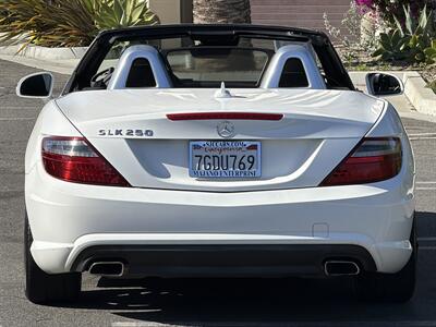 2014 Mercedes-Benz SLK SLK 250  Carbone Limited Edition - Photo 5 - San Juan Capistrano, CA 92675