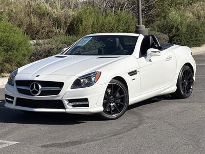 2014 Mercedes-Benz SLK SLK 250  Carbone Limited Edition - Photo 1 - San Juan Capistrano, CA 92675