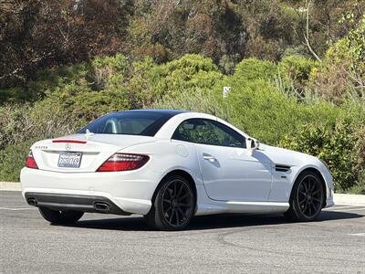 2014 Mercedes-Benz SLK SLK 250  Carbone Limited Edition - Photo 13 - San Juan Capistrano, CA 92675