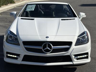 2014 Mercedes-Benz SLK SLK 250  Carbone Limited Edition - Photo 9 - San Juan Capistrano, CA 92675