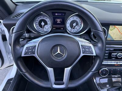 2014 Mercedes-Benz SLK SLK 250  Carbone Limited Edition - Photo 27 - San Juan Capistrano, CA 92675