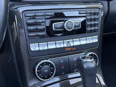 2014 Mercedes-Benz SLK SLK 250  Carbone Limited Edition - Photo 31 - San Juan Capistrano, CA 92675