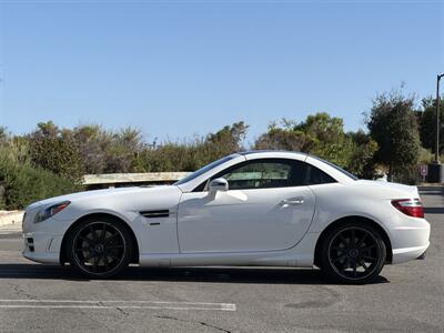 2014 Mercedes-Benz SLK SLK 250  Carbone Limited Edition - Photo 10 - San Juan Capistrano, CA 92675