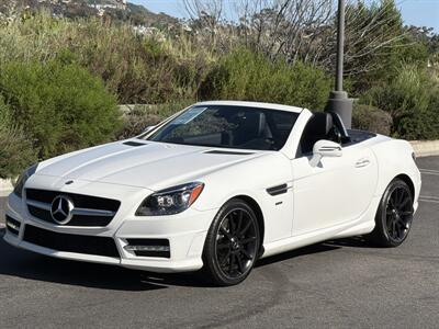 2014 Mercedes-Benz SLK SLK 250  Carbone Limited Edition - Photo 2 - San Juan Capistrano, CA 92675