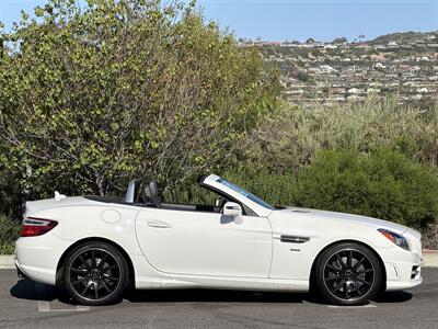2014 Mercedes-Benz SLK SLK 250  Carbone Limited Edition - Photo 7 - San Juan Capistrano, CA 92675