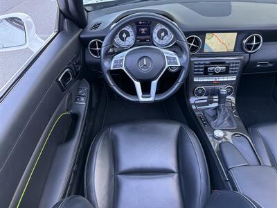 2014 Mercedes-Benz SLK SLK 250  Carbone Limited Edition - Photo 16 - San Juan Capistrano, CA 92675