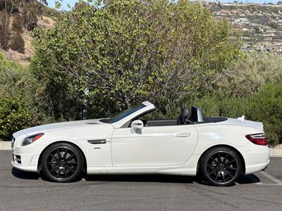 2014 Mercedes-Benz SLK SLK 250  Carbone Limited Edition - Photo 3 - San Juan Capistrano, CA 92675