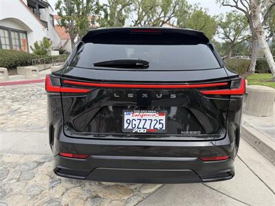 2024 Lexus NX 250 Premium   - Photo 4 - San Juan Capistrano, CA 92675