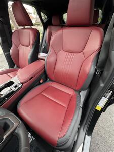 2024 Lexus NX 250 Premium   - Photo 10 - San Juan Capistrano, CA 92675