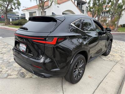 2024 Lexus NX 250 Premium   - Photo 5 - San Juan Capistrano, CA 92675