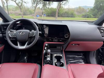 2024 Lexus NX 250 Premium   - Photo 7 - San Juan Capistrano, CA 92675