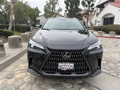 2024 Lexus NX 250 Premium   - Photo 6 - San Juan Capistrano, CA 92675