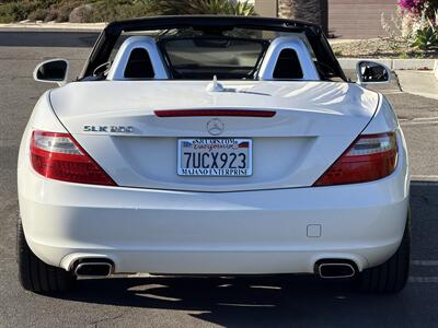 2015 Mercedes-Benz SLK SLK 250 - Photo 5 - San Juan Capistrano, CA 92675