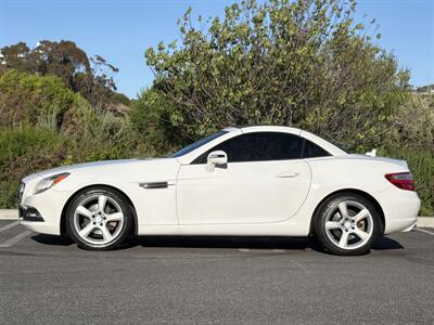 2015 Mercedes-Benz SLK SLK 250 - Photo 10 - San Juan Capistrano, CA 92675