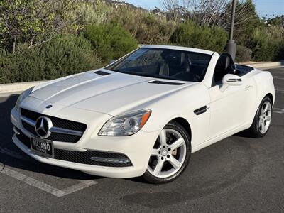 2015 Mercedes-Benz SLK SLK 250 Convertible