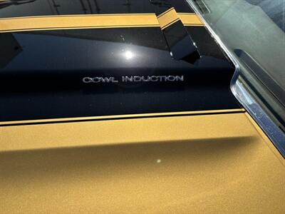 1970 Chevrolet El Camino SS 396   - Photo 14 - Albuquerque, NM 87108