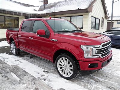 2020 Ford F-150 Limited  4x4 - Photo 6 - Mishawaka, IN 46545