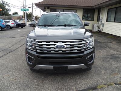 2020 Ford Expedition Limited - Photo 4 - Mishawaka, IN 46545