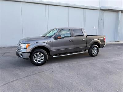 2013 Ford F-150 XLT Truck