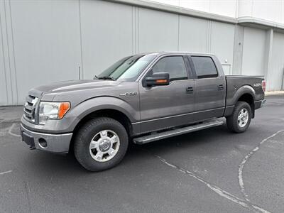 2010 Ford F-150 XL  