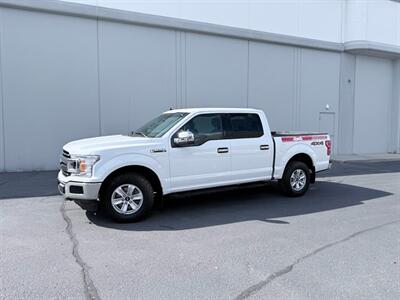 2019 Ford F-150 XLT Truck