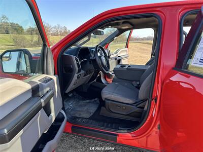 2019 Ford F-150 XLT   - Photo 11 - Monroe, LA 71201
