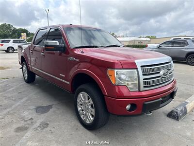 2012 Ford F-150 Platinum - Photo 6 - Monroe, LA 71201