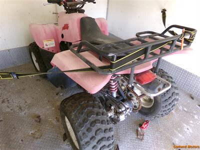 2005 Baja WD250   - Photo 3 - Stockton, CA 95205