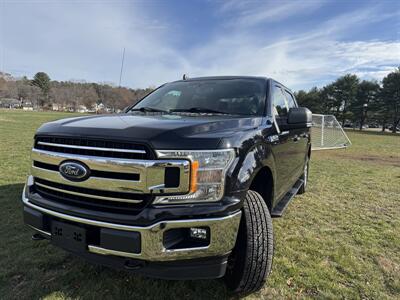2019 Ford F-150 XL Truck