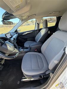 2021 Ford Escape SE   - Photo 7 - Burlington, MA 01803