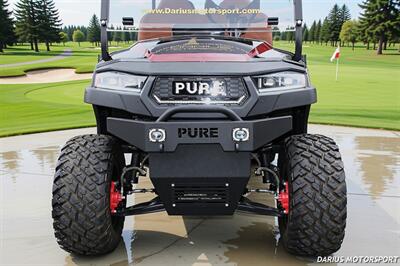 2025 PURE EV P60L ***CUSTOM UPGRADED WRAP*** - Photo 4 - San Ramon, CA 94583