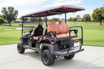 2025 PURE EV P60L ***CUSTOM UPGRADED WRAP*** - Photo 11 - San Ramon, CA 94583