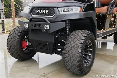 2025 PURE EV P60L ***CUSTOM UPGRADED WRAP*** - Photo 14 - San Ramon, CA 94583