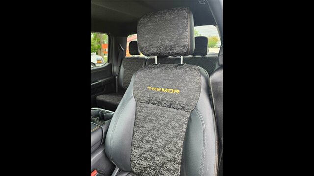 2023 Ford F-150 Tremor - Photo 20 - Spring Valley, MN 55975