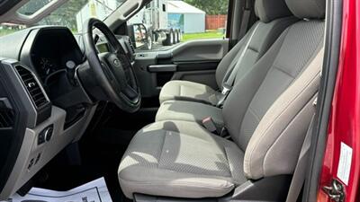 2019 Ford F-150 XL   - Photo 11 - Spring Valley, MN 55975