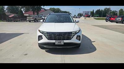 2023 Hyundai TUCSON Limited   - Photo 16 - Spring Valley, MN 55975