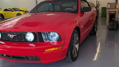 2009 Ford Mustang GT Premium   - Photo 6 - Cottonwood, AZ 86326