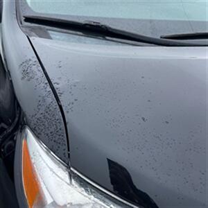 2015 Toyota Sienna AWD-XLE 7-Passenger   - Photo 17 - Winchester, NH 03470