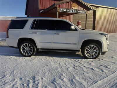 2019 Cadillac Escalade Luxury   - Photo 3 - Maxwell, IN 46154