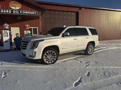 2019 Cadillac Escalade Luxury   - Photo 16 - Maxwell, IN 46154