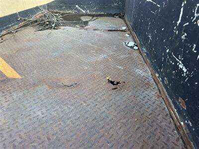 2003 Ford F-350 Super Duty XL 4dr Crew Cab XL   - Photo 13 - Shirley, IN 47384