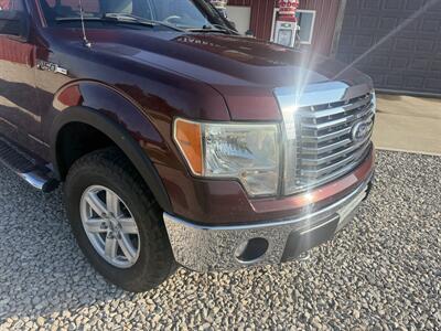 2010 Ford F-150 XLt   - Photo 5 - Shirley, IN 47384