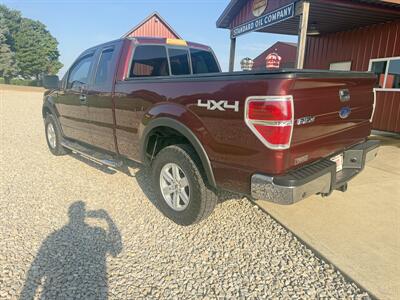 2010 Ford F-150 XLt   - Photo 4 - Shirley, IN 47384