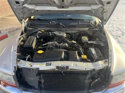 2002 Dodge Dakota SLT   - Photo 23 - Shirley, IN 47384