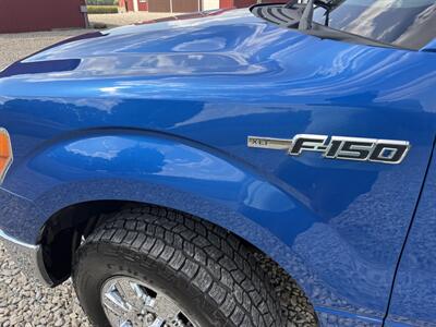 2011 Ford F-150 XL   - Photo 5 - Shirley, IN 47384