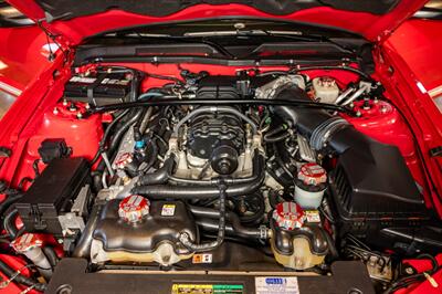 2007 Ford Shelby GT500   - Photo 52 - Spring Valley, CA 91978