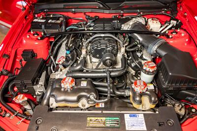 2007 Ford Shelby GT500   - Photo 53 - Spring Valley, CA 91978