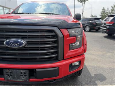 2016 Ford F-150 XLT SPECIAL EDITION - Photo 11 - Edmonton, AB T5L 4H5