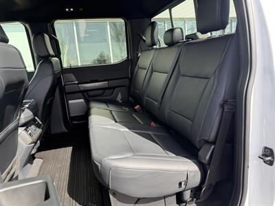 2024 Ford F-150 XLT 302A Sport Package   - Photo 25 - Edmonton, AB T5L 4H5