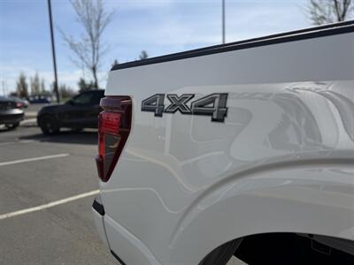 2024 Ford F-150 XLT 302A Sport Package   - Photo 14 - Edmonton, AB T5L 4H5